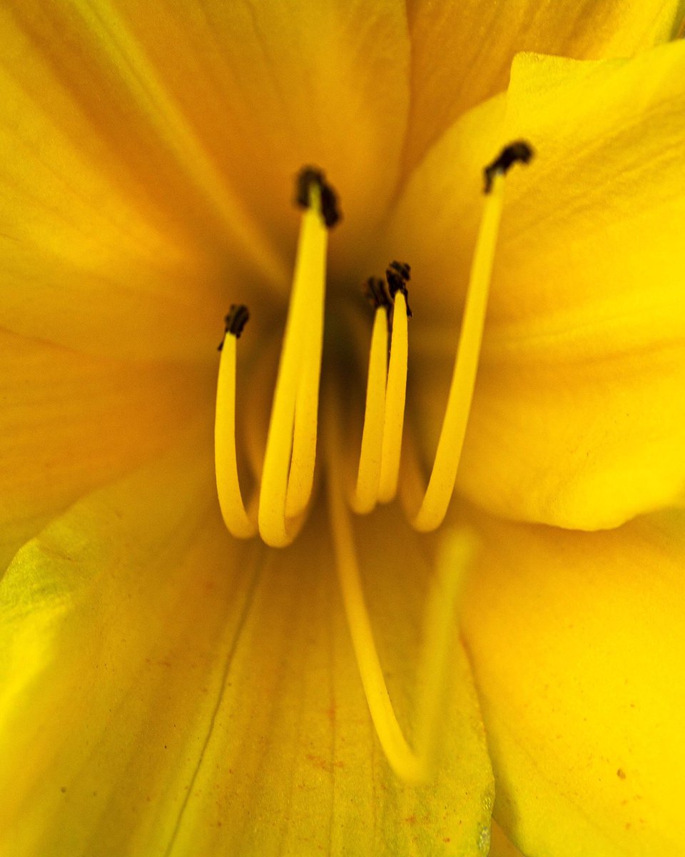 Dlope Works Photography tweet media