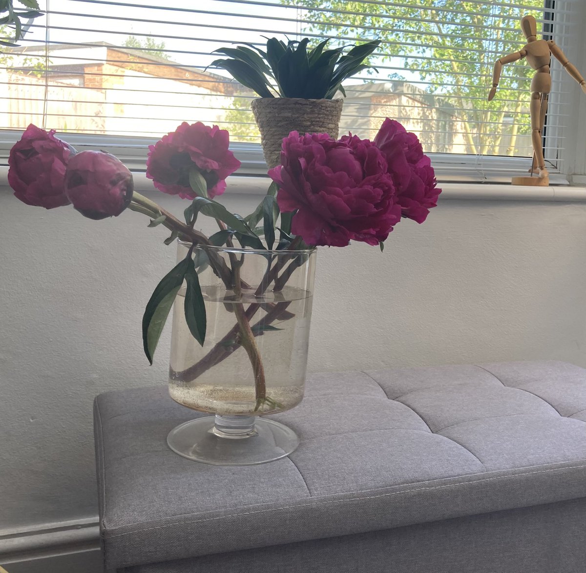 hygge14's tweet photo. @AldiUK A shot of five of my fav buys from @AldiUK Peonies -today,storage -last month, plant-last year and model and vase several years ago #loyalty #excellentvalue #greatproducts #durability #aldi #wellbeing #shopping #creativity #peonies #thebest https://t.co/oHDRzr8a3j
