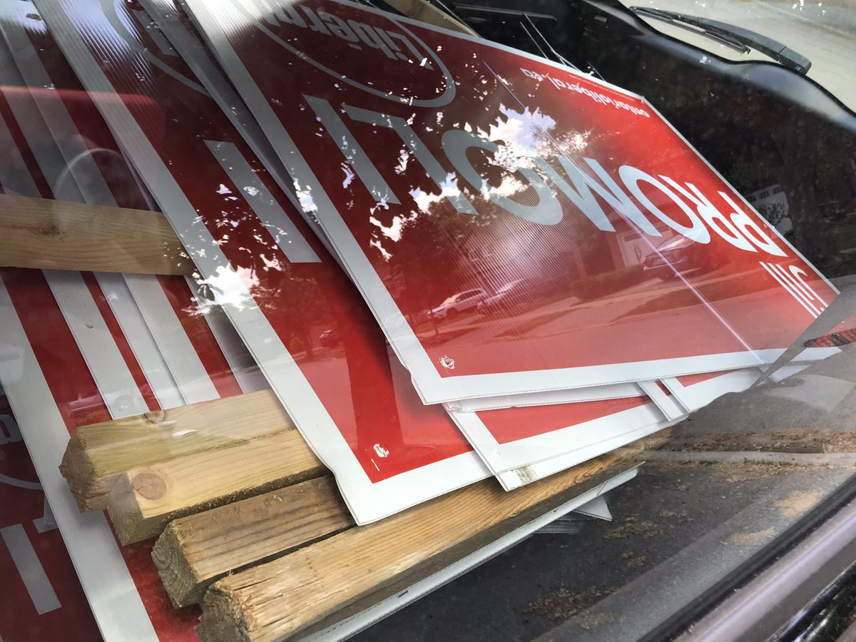 Jill Promoli tweet media