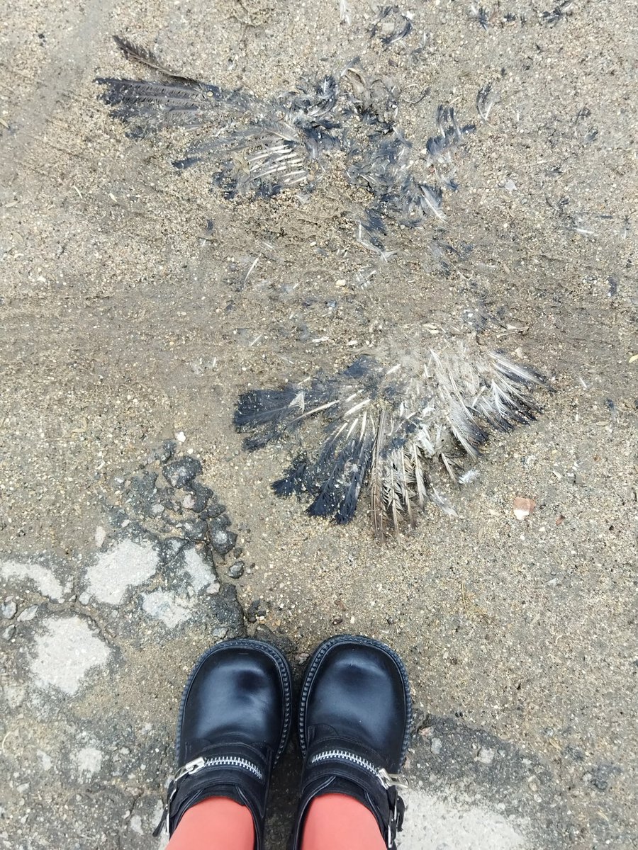 Осадок вчерашнего дня