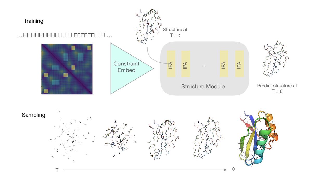 Denoising diffusion model for protein sequence + structure!

@namrata_anand2 @tachim 

arxiv.org/abs/2205.15019