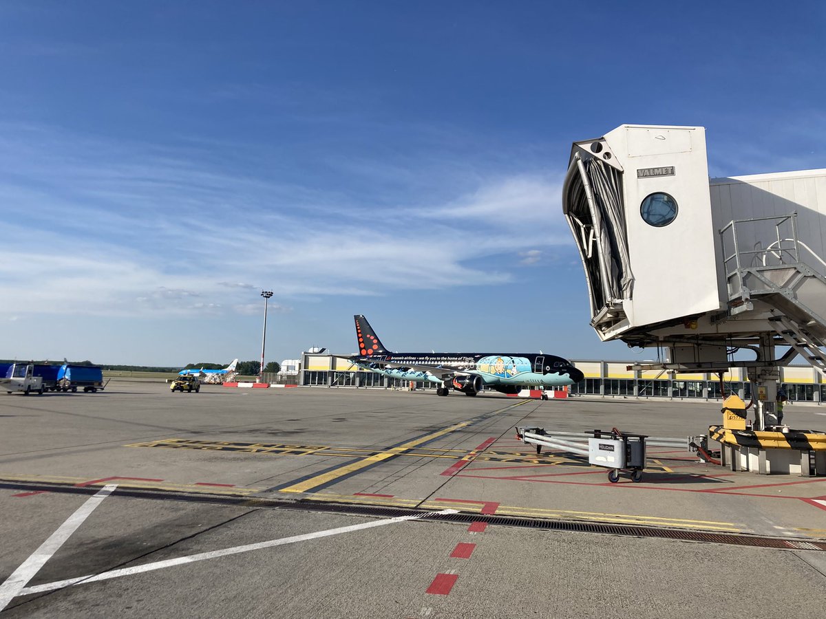 Frogcarrot's tweet photo. Welcome again, Tintin! \o/ 🥰😍😎 //cc @FlyingBrussels #oosnb #rampatweet https://t.co/aTnIKSiCpY