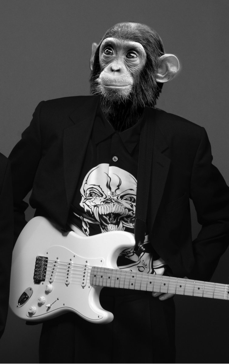 BeesDeluxe's tweet photo. "Did somebody say bananas?"
Bees Deluxe will be live at the Lookout Farm & Winery 89 Pleasant Street, South Natick, MA on Friday June 10, from 6 - 8:00 pm.
#blues #acidblues #beesdeluxe #boston #lookoutfarm @lookoutfarm @Lookout_Farm
#Natick #bananas #chimpanzee #stratocaster https://t.co/YClYHURgke