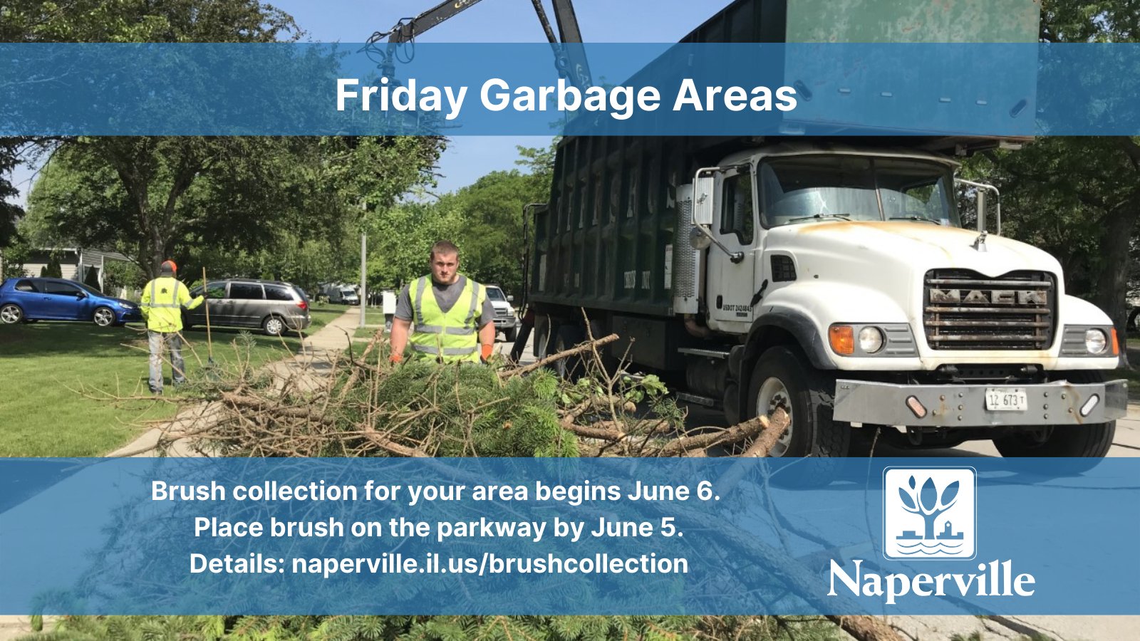 NapervilleIL on Twitter "BRUSH COLLECTION begins Monday, June 6, for