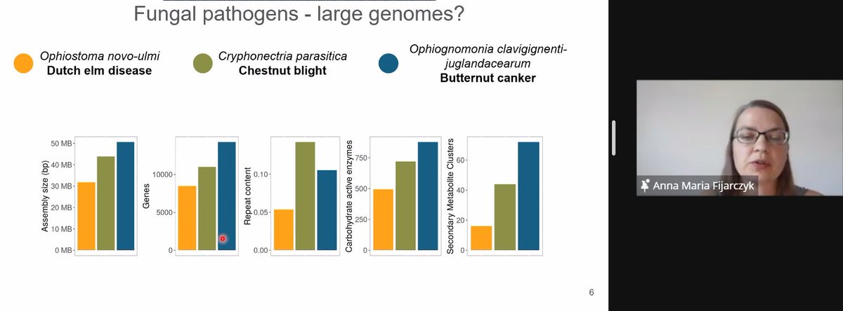 CanFunNet's tweet photo. Up next is @afijarczyk discussing genome size and complexity and how it relates to pathogen lifestyle.

Generally, plant pathogenic fungi have large genomes, but this is not always the case! https://t.co/NfiuPYEKWD
