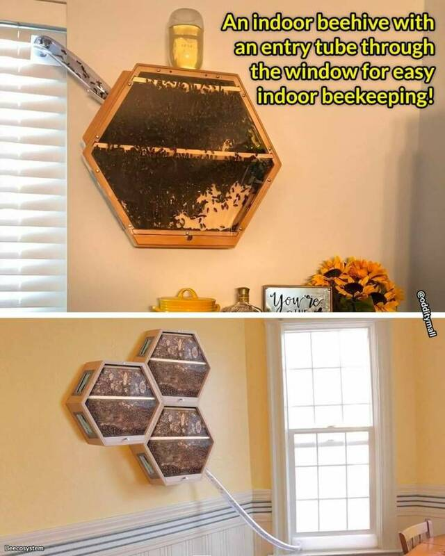 DatKaru's tweet photo. @CodysLab just came across this picture. Instantly thought of you doing this aswell https://t.co/byoV1Hb4nE