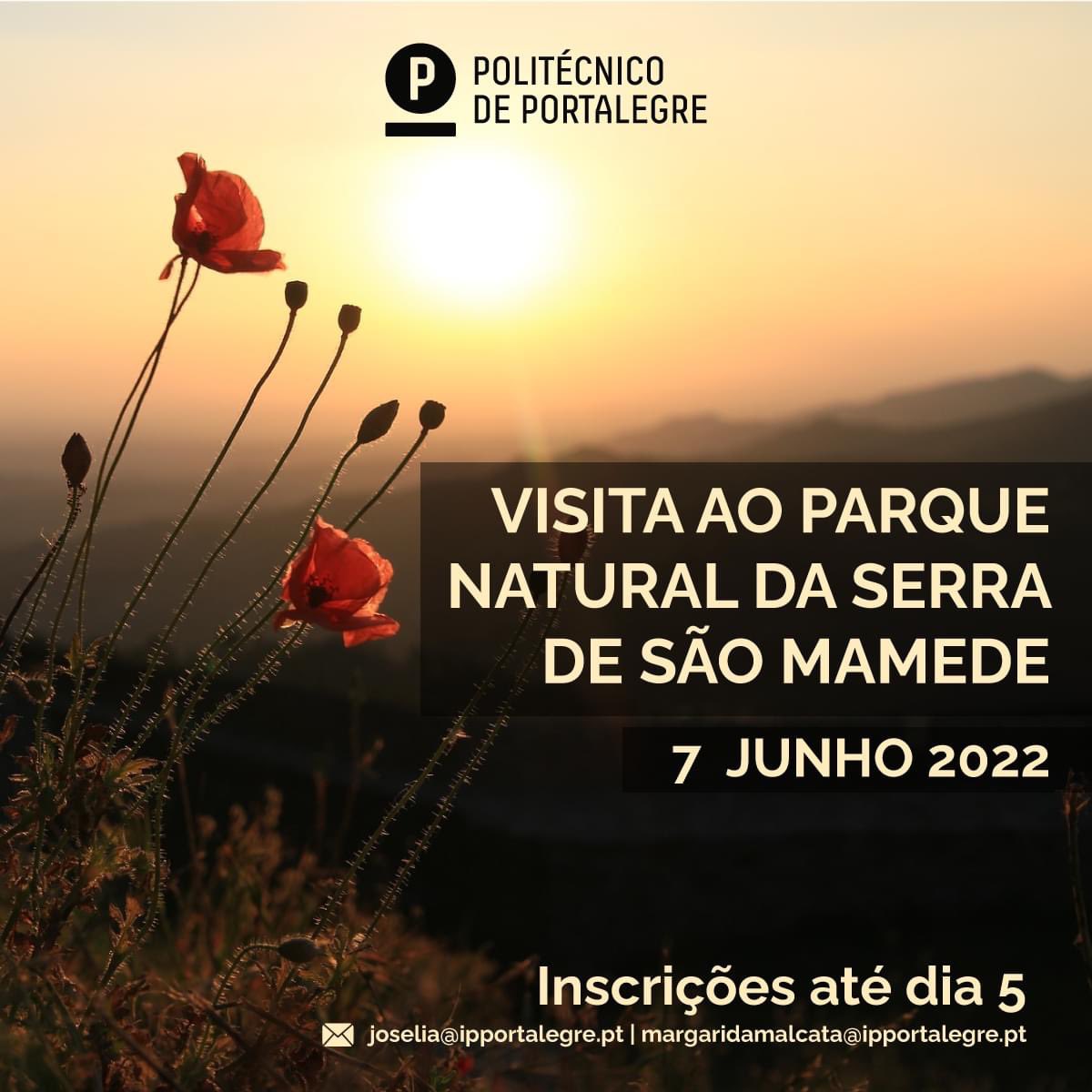 Politécnico de Portalegre tweet media