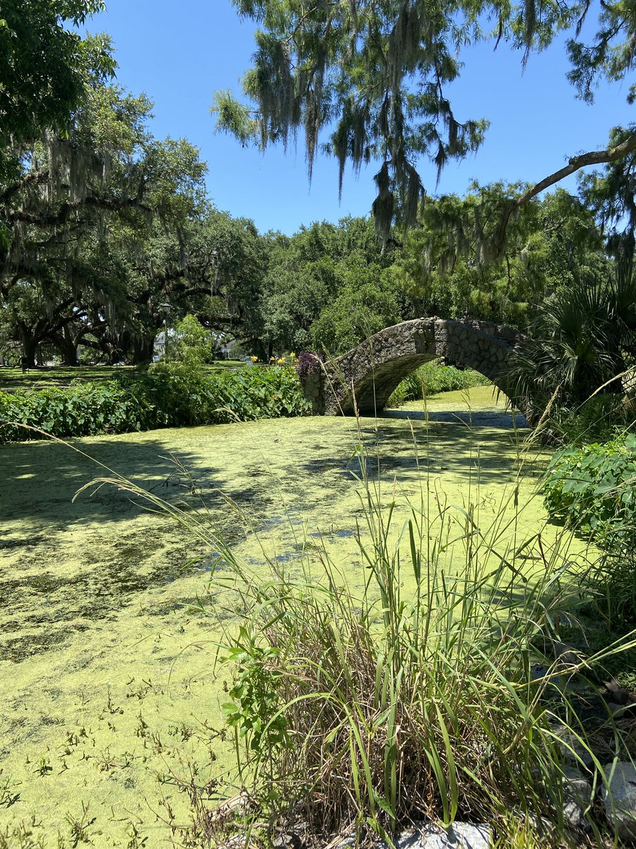 NotesSparks's tweet image. Last night in the #FrenchQuarter, a medium walked by, nodded at me and said, “You’ll finish your book in the year.” 

⚜️This city is something else. Hot damn. 

#amwriting #WritingCommunity #NOLA
