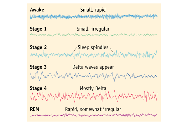 Sleep happens in various cycles - I guess its pretty obvios which one is the most effektive one :)

(I´m working in a longer thread about sleep)