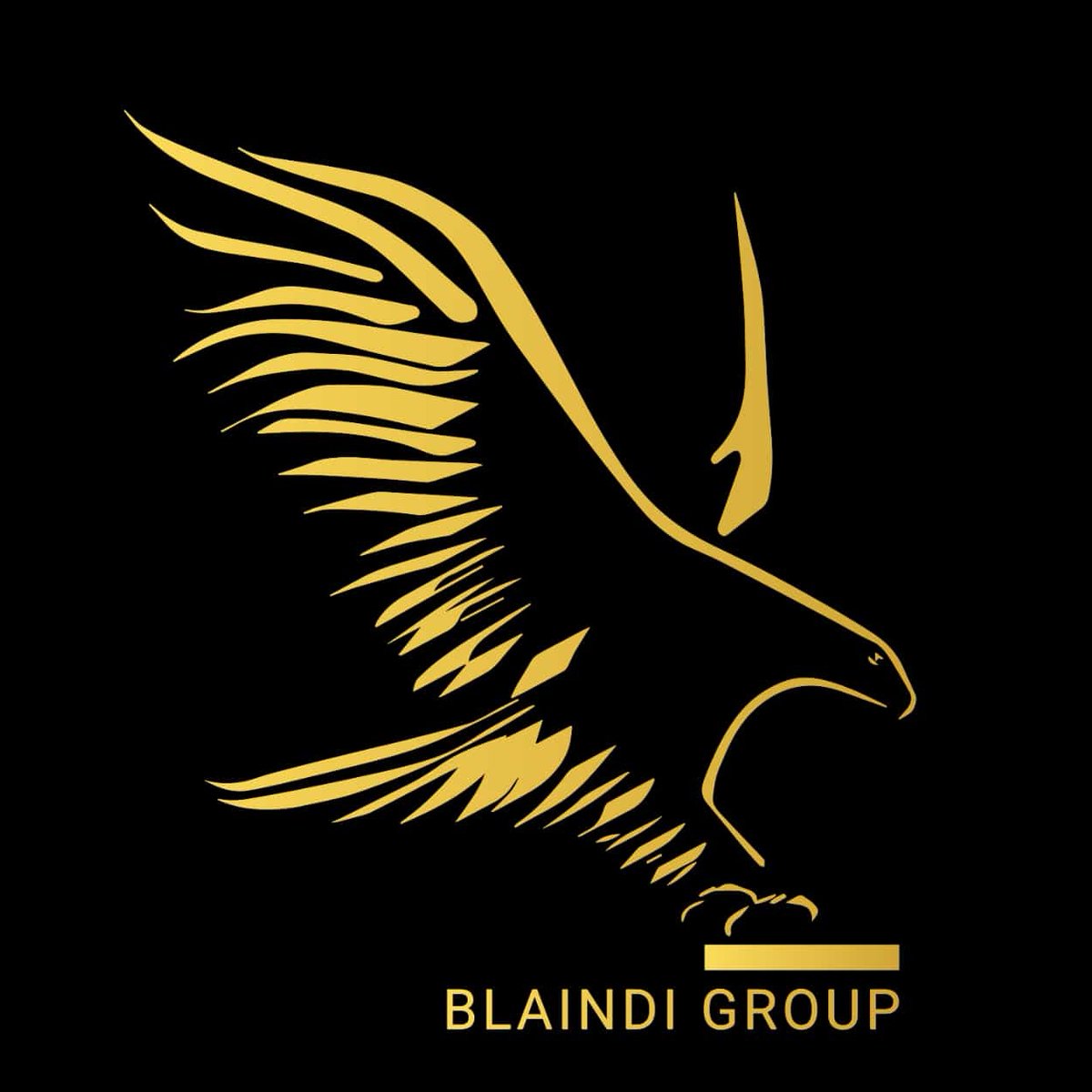 BLAINDI GROUP (@blaindigroup) on Twitter photo 