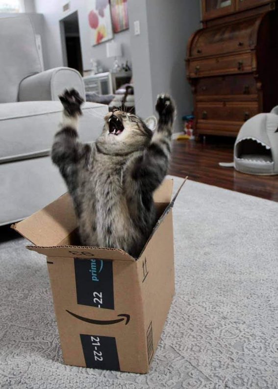 VarlanOlivier's tweet photo. « Tu m’as cru mort mais je suis vivant Schrödinger ! Vivant ! » https://t.co/DAhGwncsuG