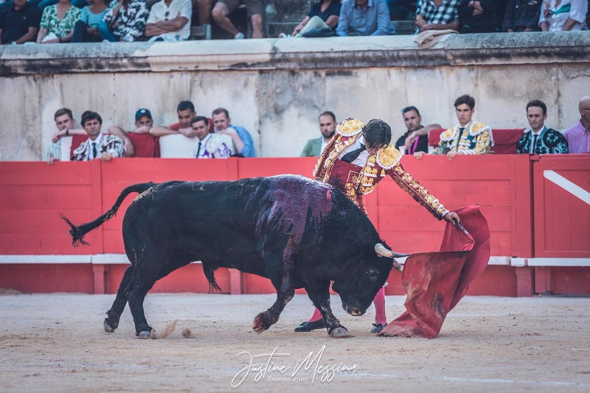 #Nîmes 🇫🇷 4️⃣ | Oreja para Curro Díaz con el segundo de su lote de <a href="/ElParralejo/">El Parralejo</a>

📸 <a href="/Justine_Messina/">Justine Messina</a>