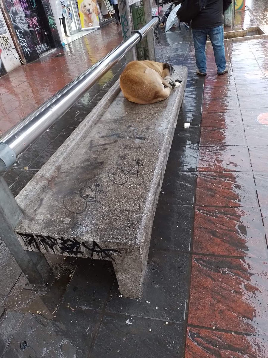 cachupines's tweet photo. #lluvia #chile Acojan a un comunitario o un callejerito en las horas de lluvia. Déjenlos refugiarse en su trabajo,casa, estacionamiento,etc. 
Hasta un cartón les servirá de mucho. https://t.co/v8Yc9X1i76