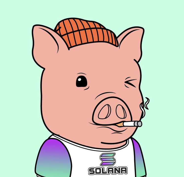 Ttay47X's tweet photo. I heard that $piggy is coming to @PiggySolGang 👑🚀
#piggysolgang #SolanaNFT #solana #nft #eth #alphaart https://t.co/XunA8XSowX