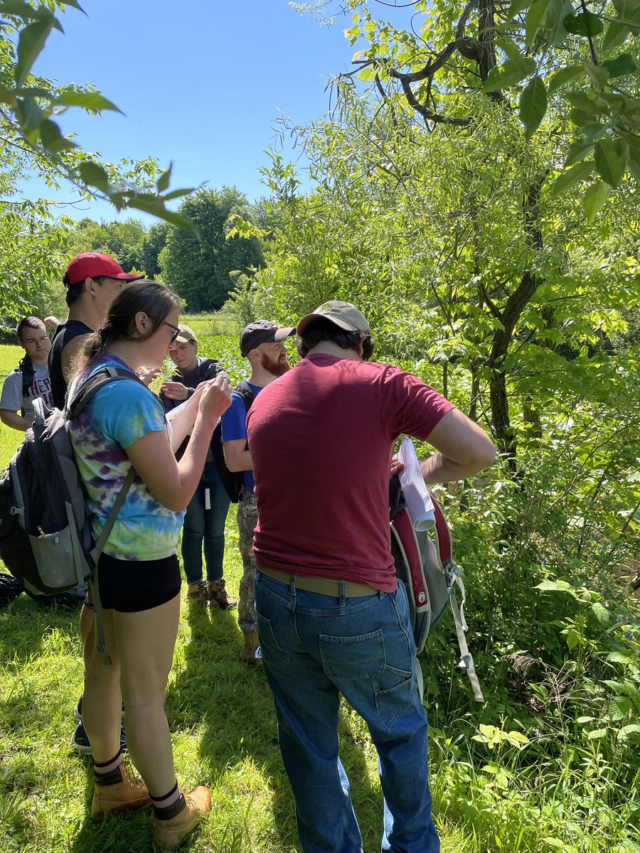 JennClevinger's tweet photo. Beautiful day at 2022 Walsh Field Botany Camp in central Ohio. @WalshUniversity https://t.co/HV2iMRlZZ1