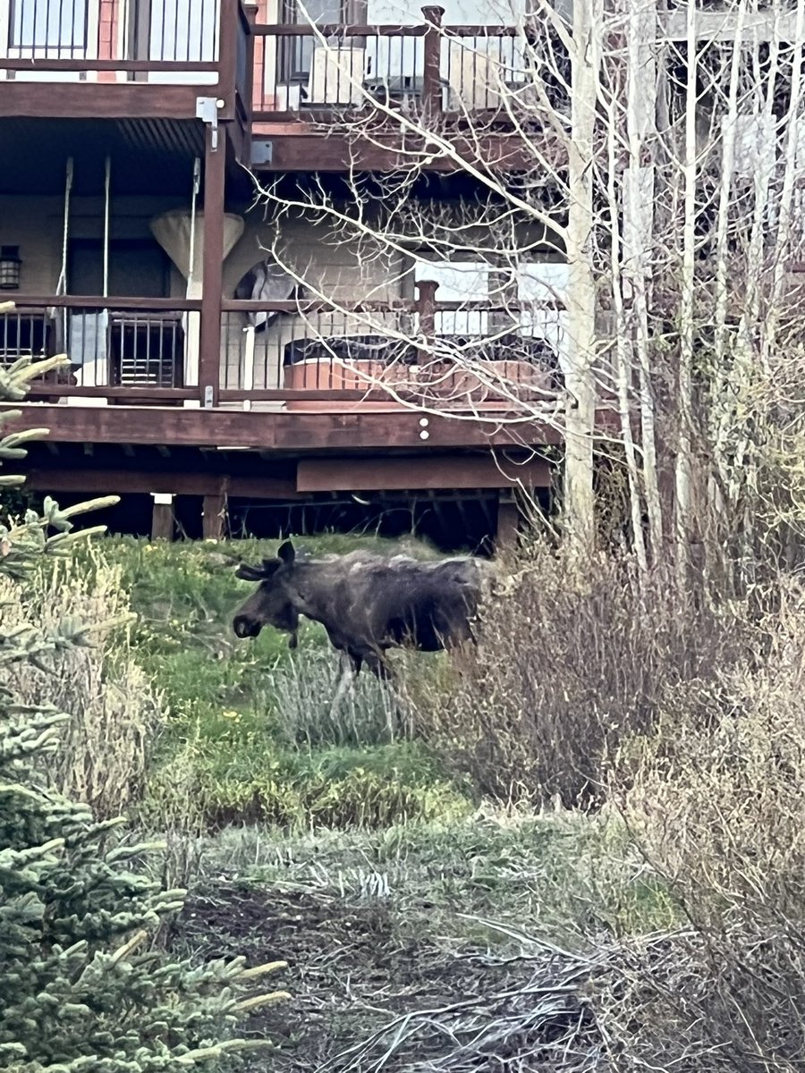 Skylar Moose Whinery tweet media