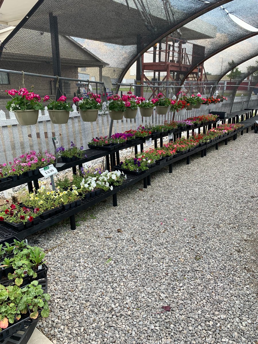 LeipsicHardware's tweet photo. This weekend brings a great opportunity to work on planting! We still have a great selection of flowers, vegetables, and more! Stop out to #Leipsic Village Hardware for all of your gardening needs! #DoItBest https://t.co/vu1YKWXbhr