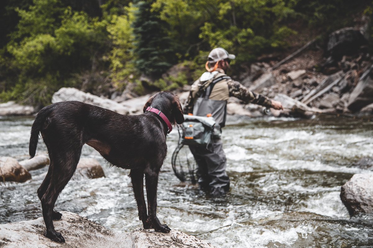 randyhanner's tweet photo. A few photos from last weekend
#flyfishing #photograpny https://t.co/NxkBQbhjCy