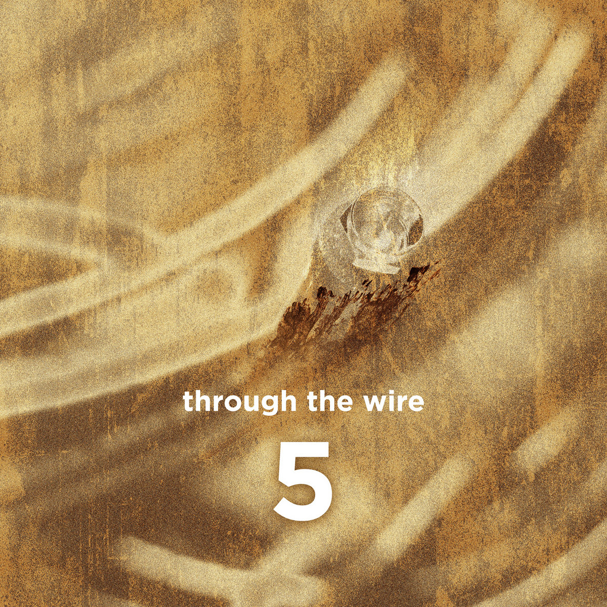 genesis_news's tweet photo. Reimagining Peter Gabriel: THROUGH THE WIRE have released their fifth EP with their versions of Peter Gabriel tracks today via bandcamp.
Details: https://t.co/JgXyOK7ssZ 
@jeremynesse @itspetergabriel @ProgMagazineUK @Bandcamp https://t.co/PCoLL02obN