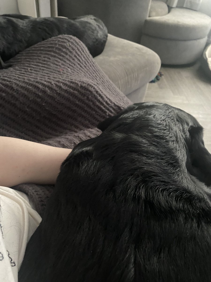 Amie Addison - Jones tweet media