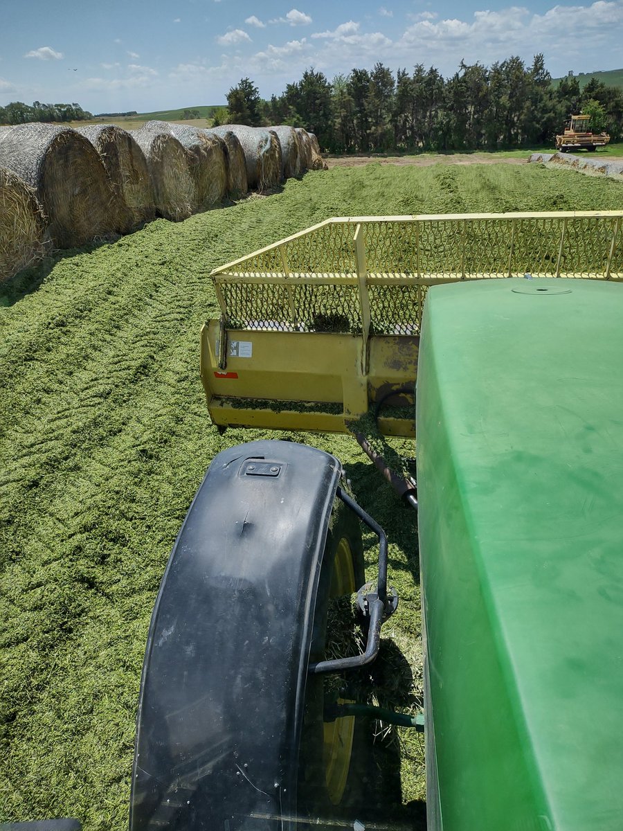 Getting 1st cutting of alfalfa put up without rain on it. #cowchow #haylage