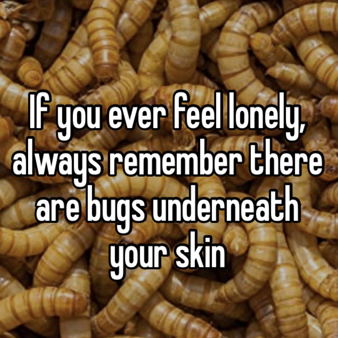 BugsDoing's tweet photo. https://t.co/2D2fb9DL7J