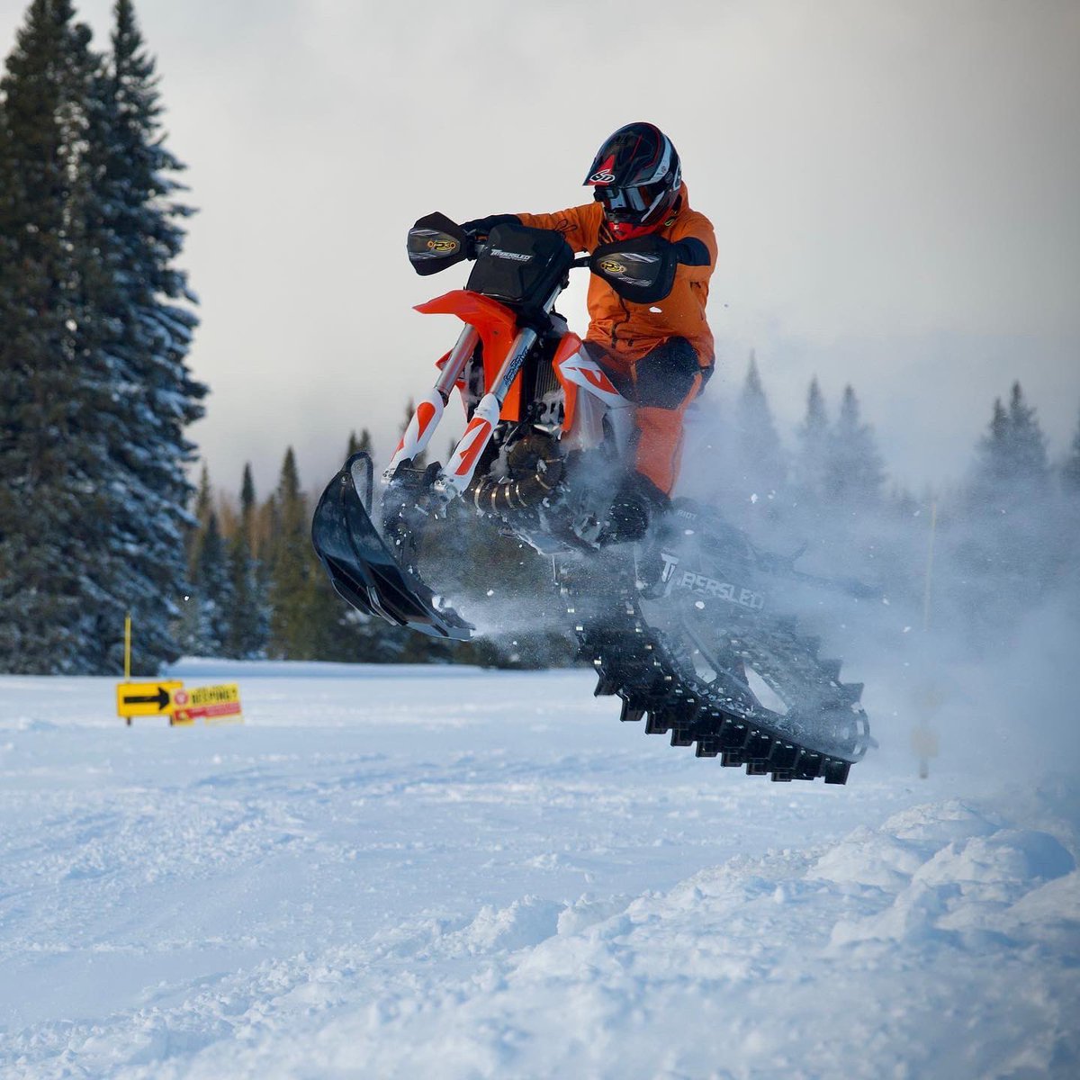 Timbersled tweet media