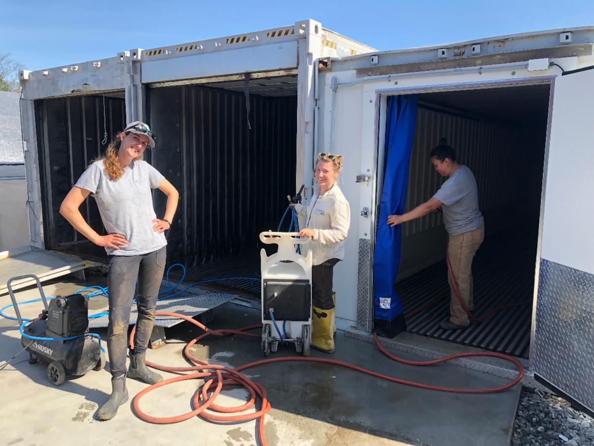 Spring cleaning! 🌿✨🍏 Keeping the walk-in coolers fresh for more crops to come.