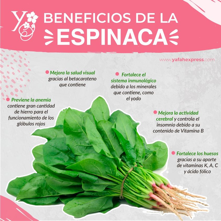 Asado Problema Aliviar Yafah Express Zamora sur Twitter : "En este post, te compartimos algunas de  los beneficios que nos aporta la espinaca. 😃 Consúmela cruda para  aprovechar todos sus nutrientes. ✓ ¡Buenas tardes! 🙂 #