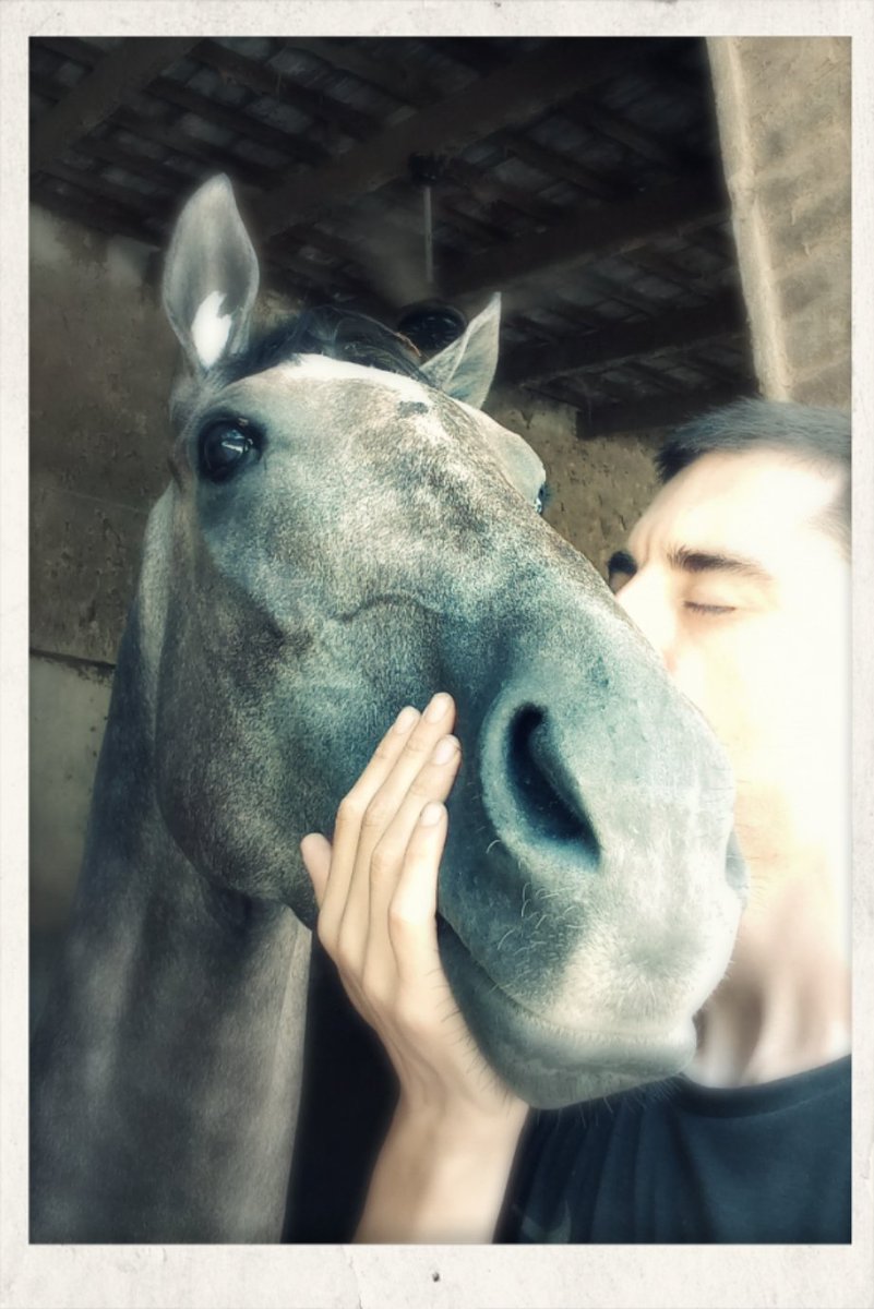 Cinccinatvs's tweet photo. #MadameInés @HarasSantaInes . “There is no other feeling in the world to compare with it if one loves a great horse. It gives a thrill that nothing else ever can. It cannot be put into words, because words cannot express it.” https://t.co/qeYBIB8T37