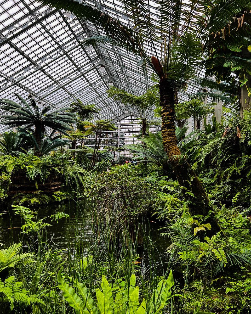 The Black Botanists tweet media