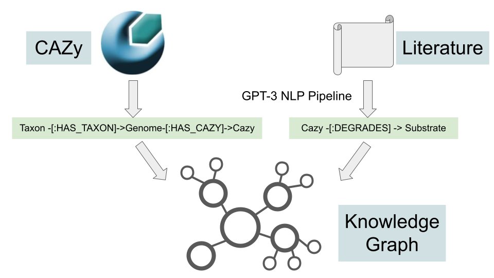 danmcgary's tweet photo. 🌟 Tutorial - Sixing Huang shows you how to store your CAZy knowledge in Neo4j.  https://t.co/vVLVS9fOXN

#Neo4j #neo4jcommunity #KnowledgeGraph #datascience https://t.co/gpZp9Q3ZJs