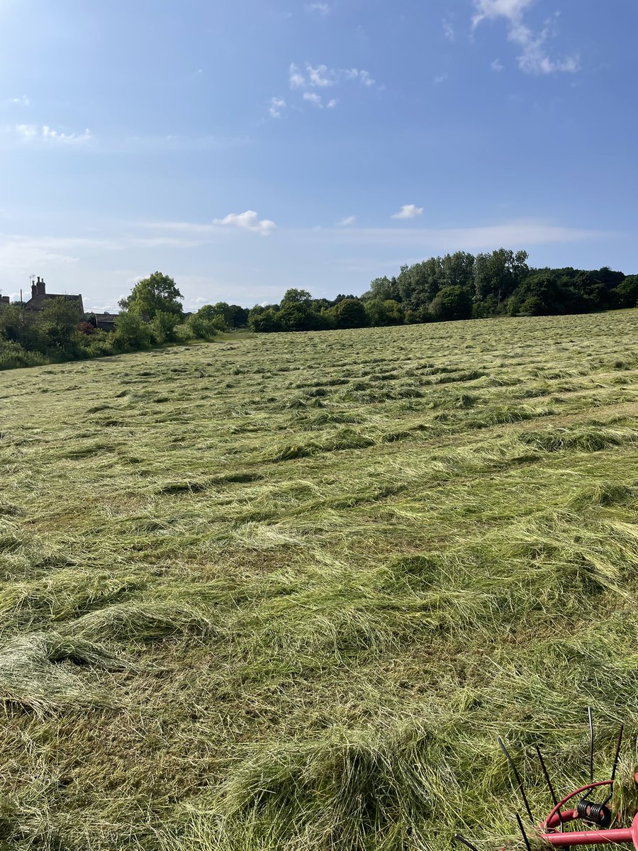 agrinick's tweet photo. Yorkshire/Leamington mix for the bank holiday festivities! #grass22 #workhardplayhard https://t.co/FSFf9TqhWa