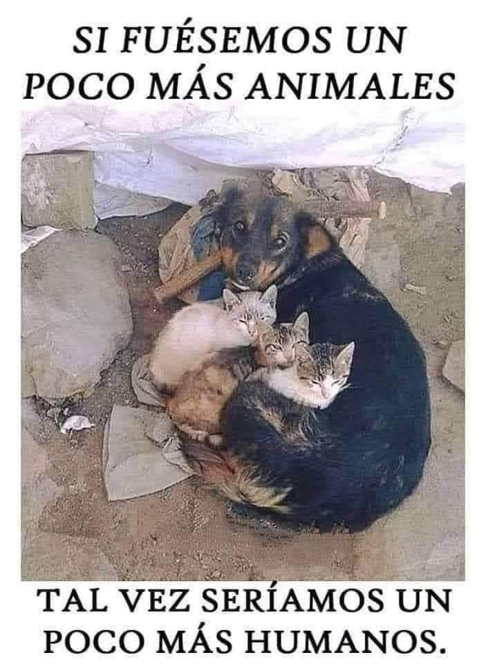 Excelente viernes..!! ☀️🖤