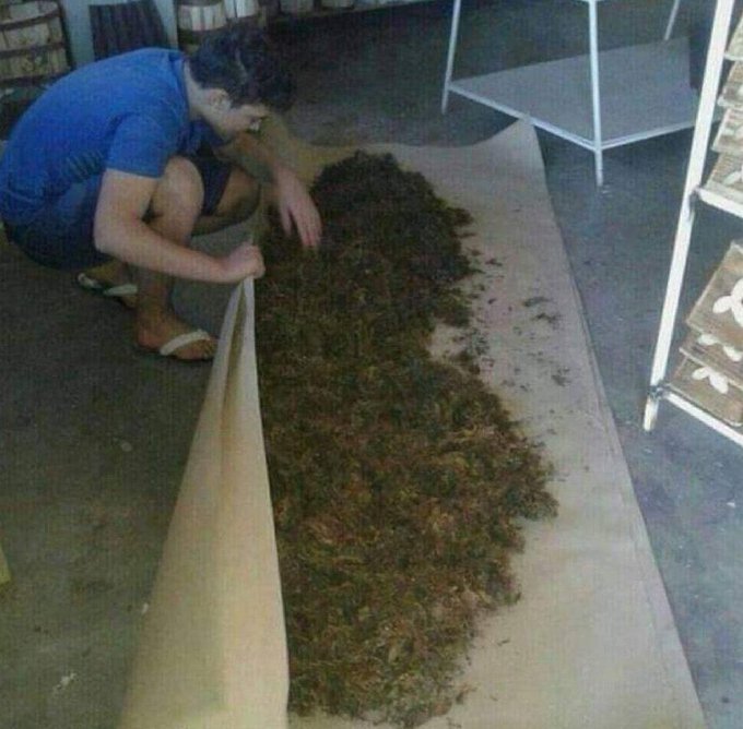 MaconheiroMemo's tweet photo. ngm: a

meu amigo 7hr da manhã: https://t.co/TRTzDU0Xsj