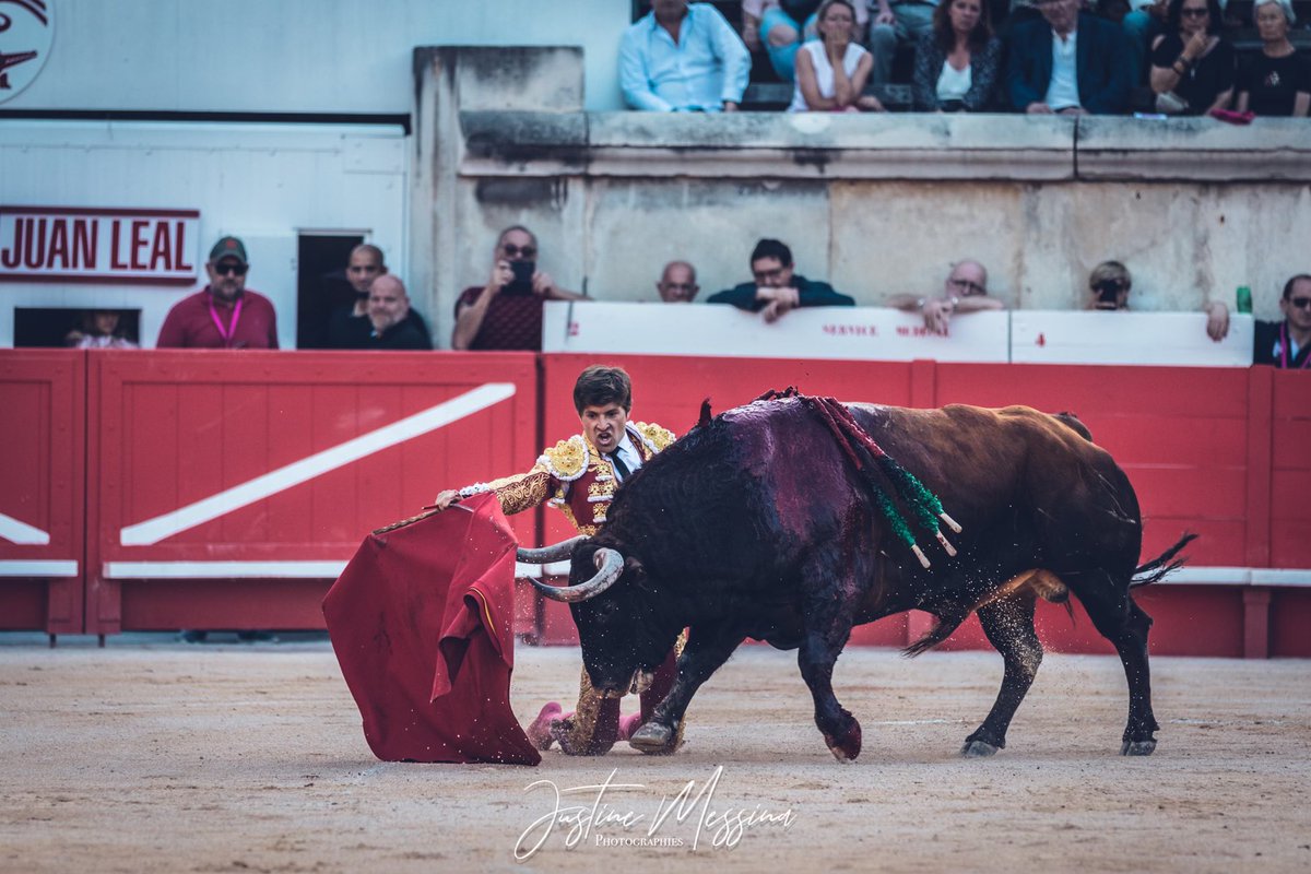 #Nîmes 🇫🇷 5️⃣ | Dos orejas para <a href="/JuanLeal/">juanleal</a> con el quinto toro de <a href="/ElParralejo/">El Parralejo</a> 

📸 <a href="/Justine_Messina/">Justine Messina</a>