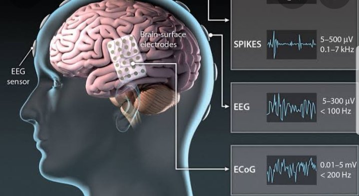 Analytics_699's tweet image. ✔️Can #5G come in help for Brain Computer Interface ▶️
#Analytics #MachineLearning #AI #Python #Rstats #IoT #IIoT #ML #Serverless #flutter #TensorFlow
#BigData #Cloud #SmartHome #mHealth #HealthIT #programming
#Coding #100DaysOfCode
prn.to/3NbrRtv
