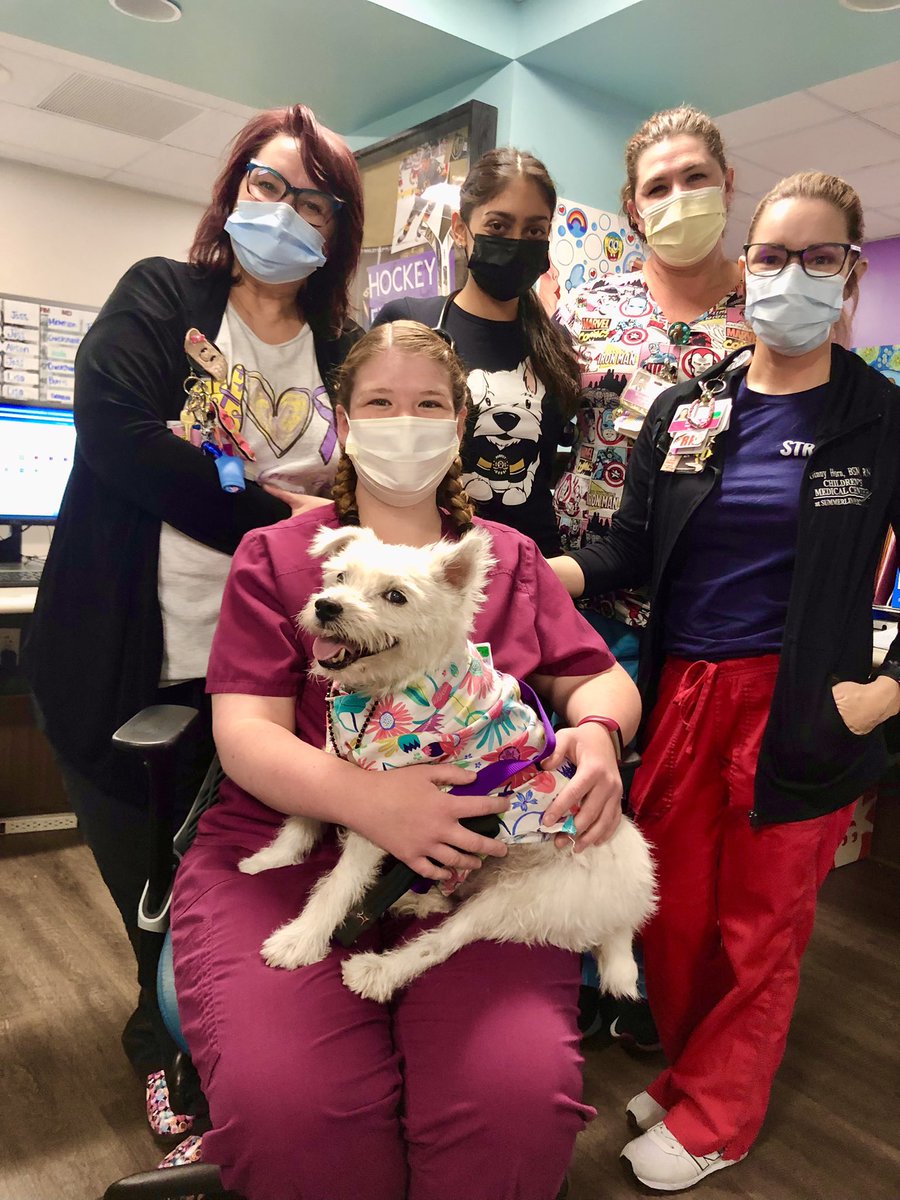 BarkAndreFurry's tweet photo. Good morning from Summerlin Hospital! 
Therapy dog rounds complete, it’s time to start the weekend! 
~ Bark🐾
#TherapyDog 
#IAmATherapyDog❤️
#DogsOfTwitter https://t.co/WvssnPDSDO