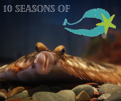 Tomorrow marks the beginning of our 10th aquarium season! 
Thank you so much to all those who’ve supported us through the years, we wouldn’t be here without you. We can’t wait to share this wonderful little aquarium with you again this year. See you tomorrow!!💙💚