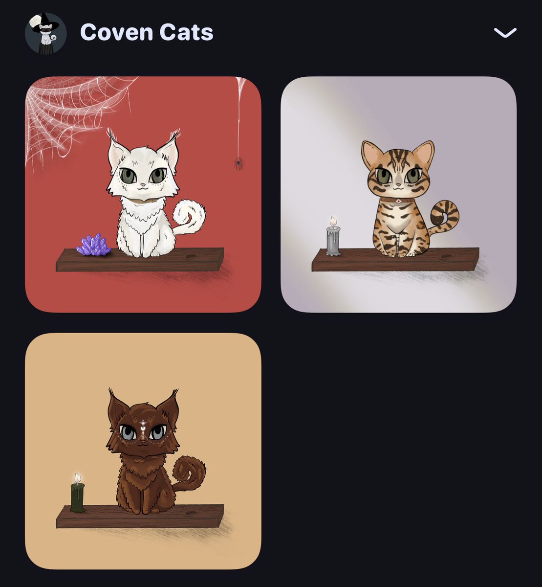eira_eth's tweet photo. I love them so much! 💖 @coven_cats https://t.co/aefTXw8JFj