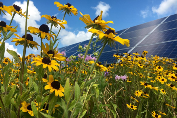 Solar Tribune tweet media