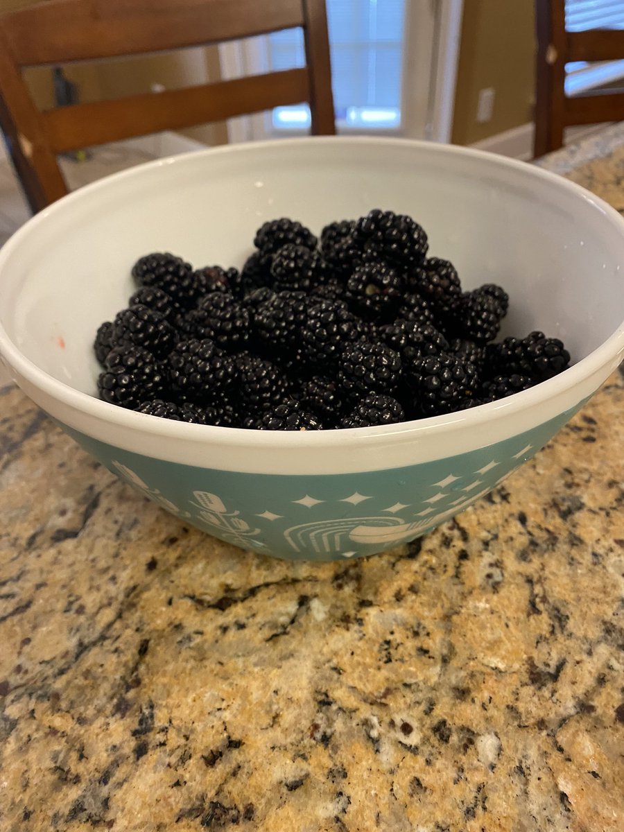 Summer break is treating me great so far and my garden is going nuts. #blackberries #homegrownyummy