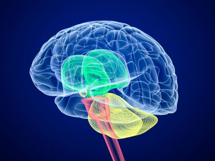 SNACC (@snaccneuro) on Twitter photo The Article of the Month "The Effects of Anesthetics on Glioma Progression: A Narrative Review" (published in <a href="/JNeurosurgAnes/">JNA - Journal of Neurosurgical Anesthesiology</a>) and commentary by Dr. Kristen Gray and Dr. Tumul Chowdhury is available for review. ow.ly/IS3y50IV3EN
<a href="/ChowdhuryTumul/">Tumul Chowdhury (तुमुल चौधरी) MD, DM, FRCPC, MSc</a> <a href="/kristendrgray/">Kristen Gray</a> The Article of the Month "The Effects of Anesthetics on Glioma Progression: A Narrative Review" (published in <a href="/JNeurosurgAnes/">JNA - Journal of Neurosurgical Anesthesiology</a>) and commentary by Dr. Kristen Gray and Dr. Tumul Chowdhury is available for review. ow.ly/IS3y50IV3EN
<a href="/ChowdhuryTumul/">Tumul Chowdhury (तुमुल चौधरी) MD, DM, FRCPC, MSc</a> <a href="/kristendrgray/">Kristen Gray</a>