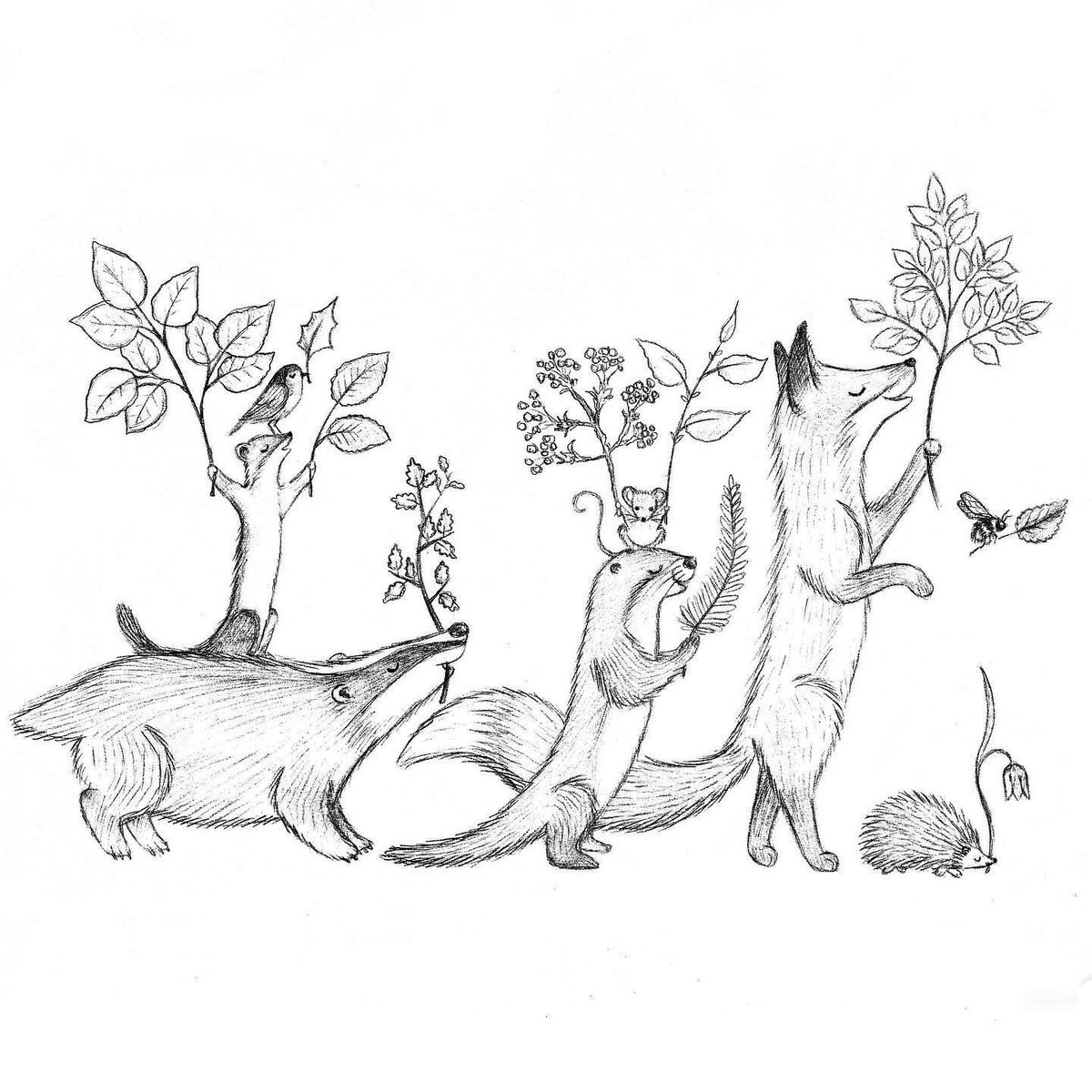 alicedarkling's tweet photo. British wildlife on a rewilding mission… an illustration for the wonderful @wildcardrewild campaign 🌱🌿💚

#rewild #RewildTheRoyals #wildlifeillustration https://t.co/rONER9ARim