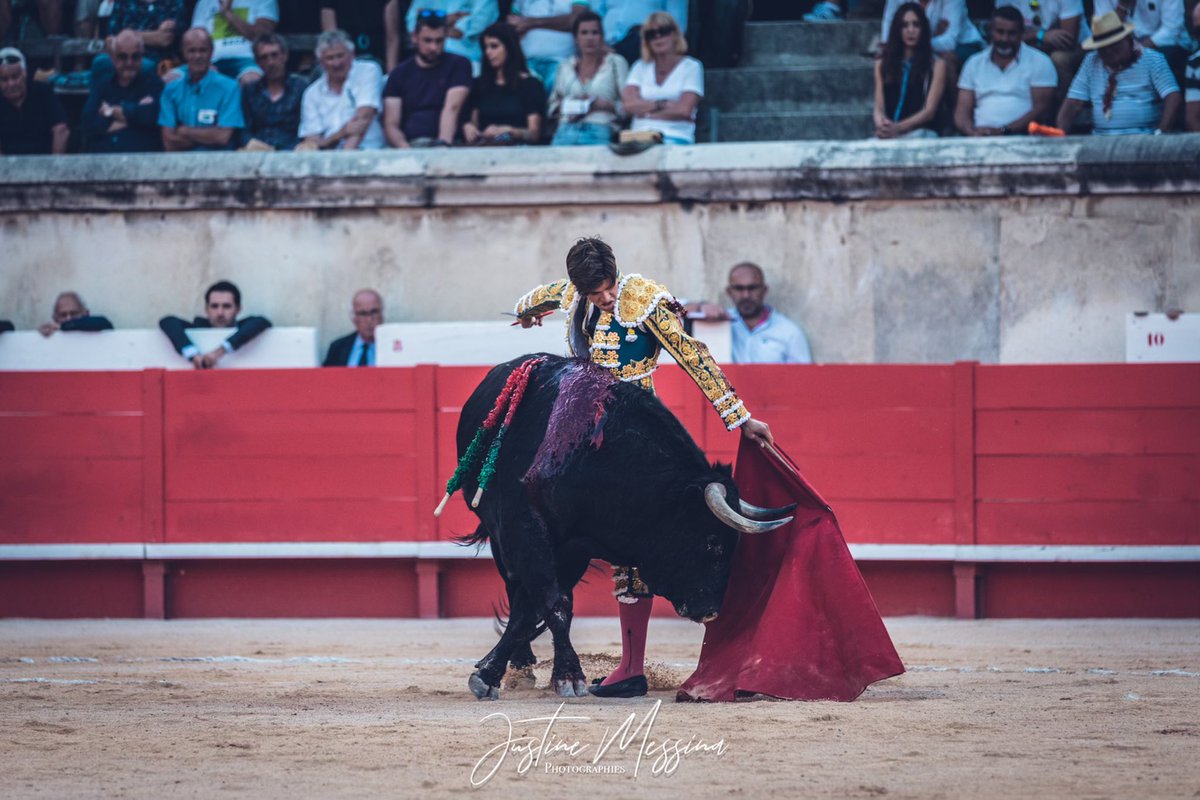#Nîmes 🇫🇷 6️⃣ | Ovación para <a href="/RafiRaucoule/">Rafi Raucoule "El Rafi"</a> en el sexto toro de <a href="/ElParralejo/">El Parralejo</a> 

📸 <a href="/Justine_Messina/">Justine Messina</a>