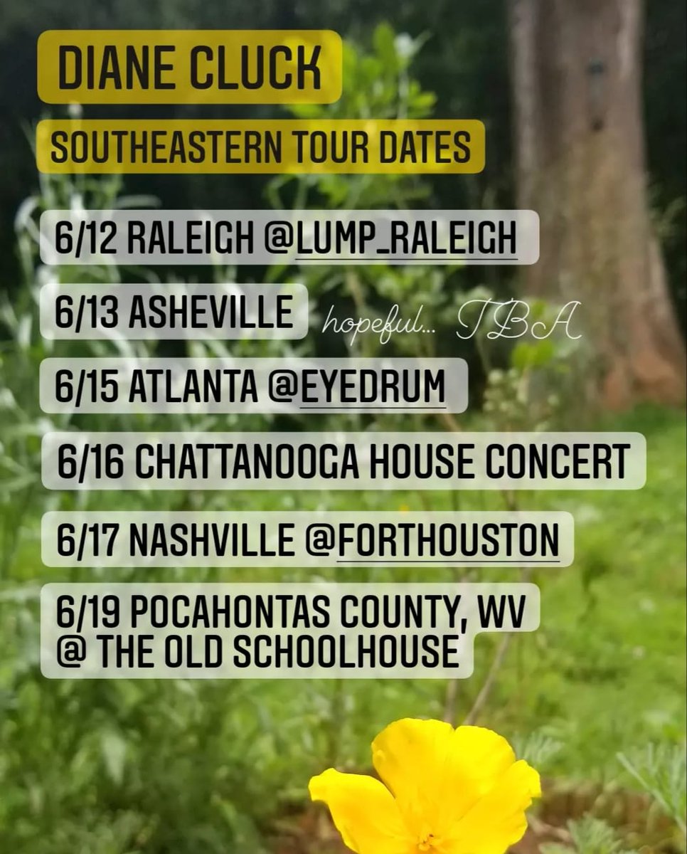 June Southeast Tour Dates! Back-to-basics with these mostly by-donation shows in gallery, D.I.Y., and home spaces. More info @ dianecluck.info/tour-events