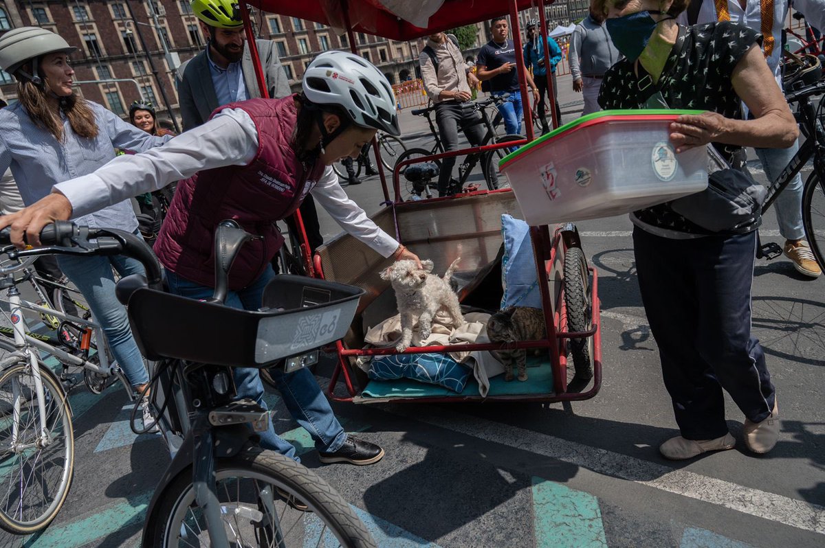 Claudiashein's tweet photo. Ya tenemos casi 400 km de infraestructura ciclista, ¡lo equivalente a la distancia entre la Ciudad y Acapulco! 🚲❤️

Este año @ecobici llegará a las alcaldías Álvaro Obregón, Azcapotzalco y Coyoacán, con un total de 9 mil 300 bicicletas.

#DíaMundialDeLaBicicleta https://t.co/IP0TpFw07o