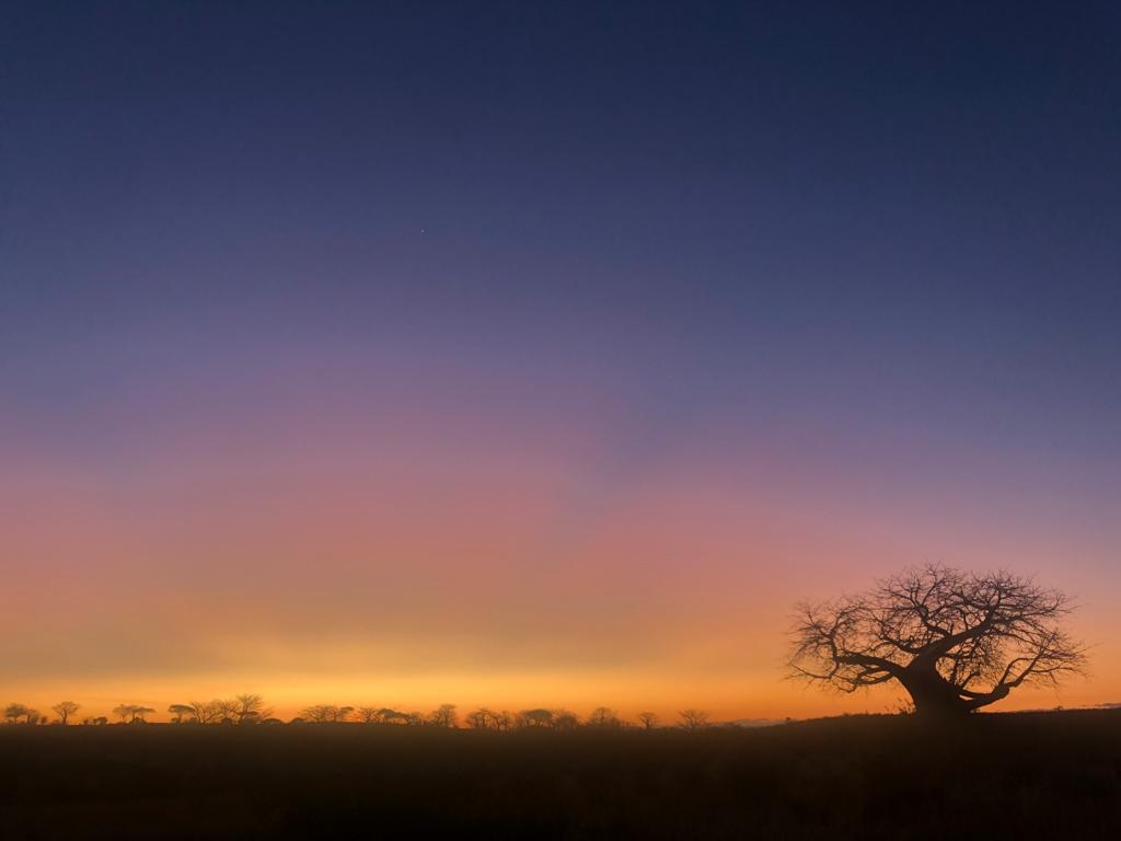 Good morning from Ruaha National Park Tanzania