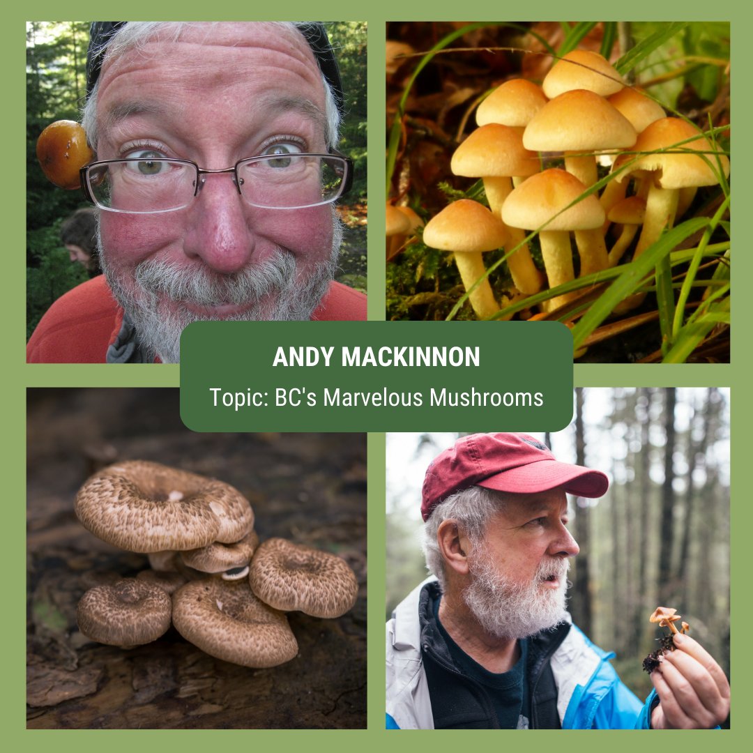 Join us on Saturday June 11th from 2-4pm for the Galiano Conservancy Association's 2022 virtual AGM! #ForestEcologist and #FungiExpert, <a href="/andymackinnonbc/">Andy MacKinnon</a> will be joining us and giving a presentation on BC’s Marvelous Mushrooms! Please email info@galianoconservancy.ca to RSVP.