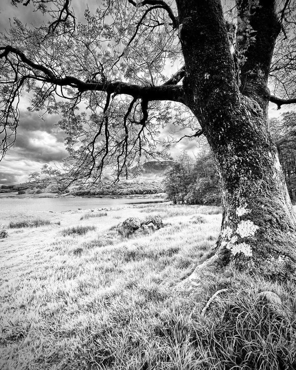 mariajones68's tweet photo. Few more black and white shots taken from #llyncelyn yesterday😊 #llyncelynreservoir #arenig #gwynedd https://t.co/pDuon815Mi